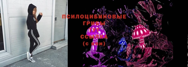 спиды Нея