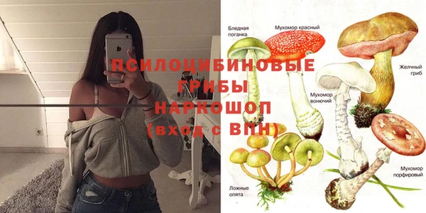 спиды Нея