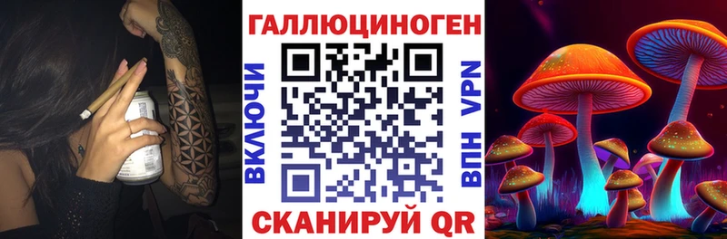 как найти Лебедянь мега ссылка Псилоцибиновые грибы мицелий